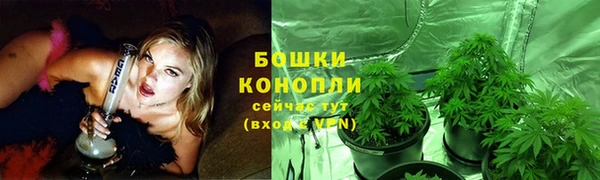 соль ск Коряжма