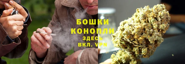 мет Корсаков